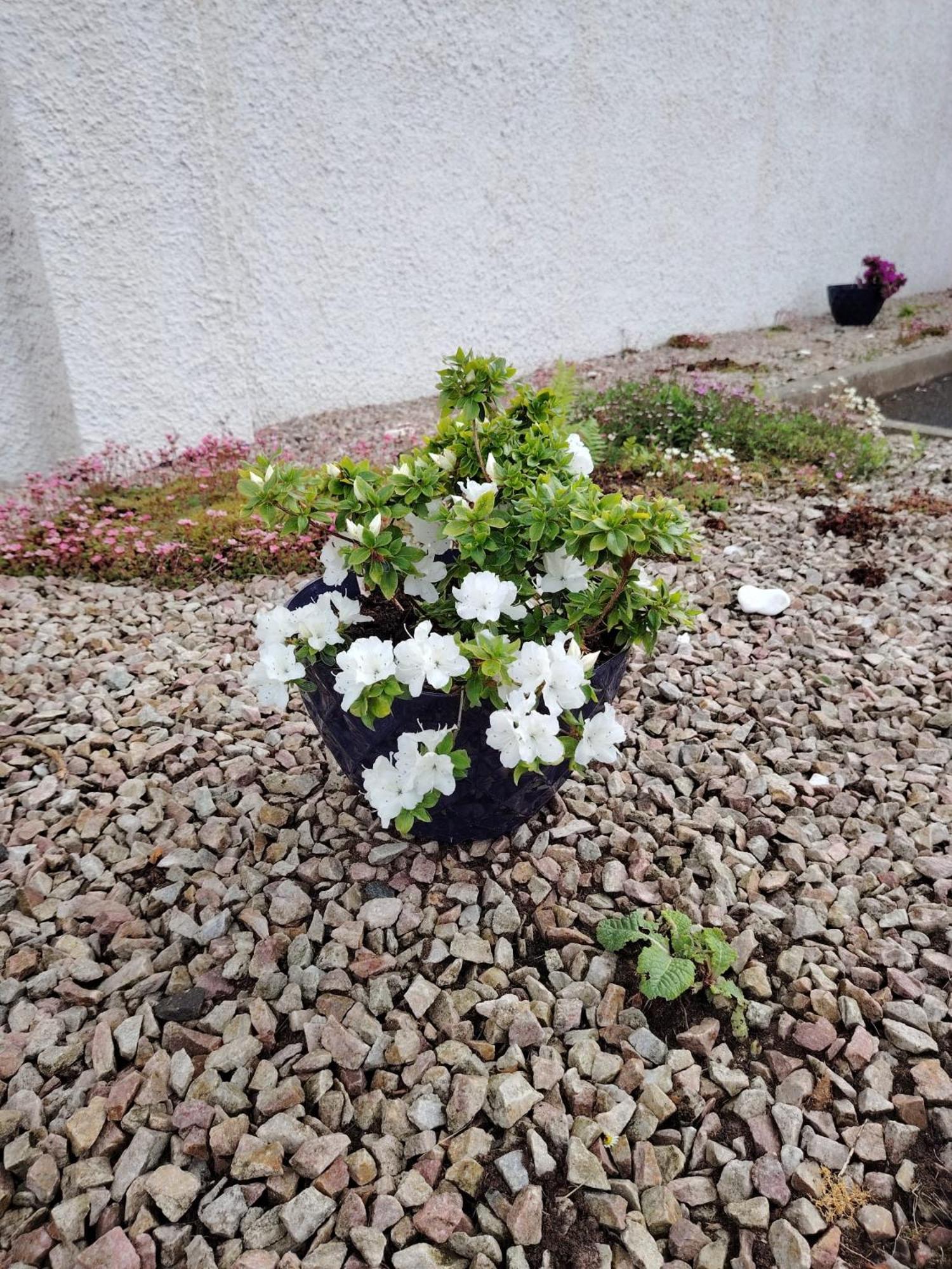 For A With At No 4 Holiday home *